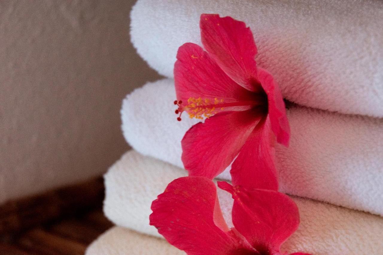 Hotel Casalina Palomino Luaran gambar
