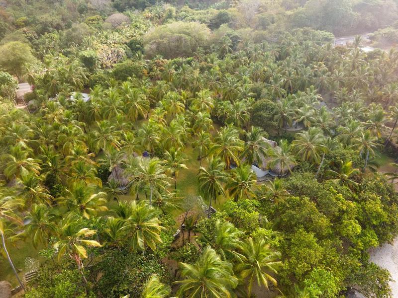 Hotel Casalina Palomino Luaran gambar