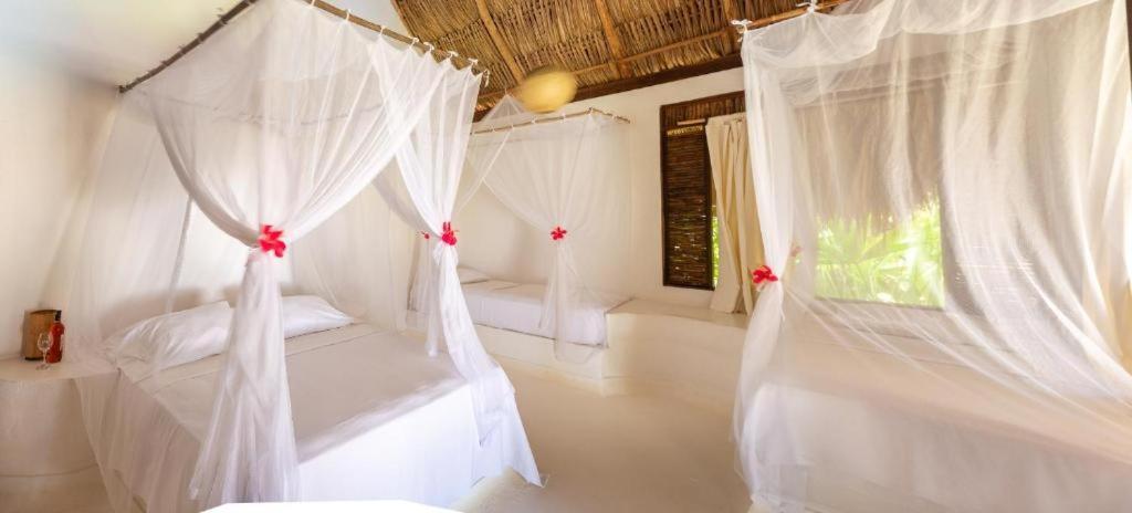 Hotel Casalina Palomino Luaran gambar