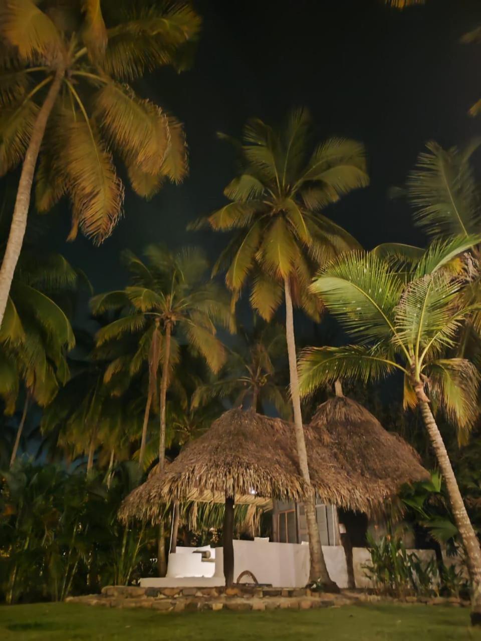 Hotel Casalina Palomino Luaran gambar
